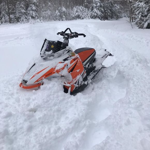 Meet your Posher, Jacob - Picture 1 of 1